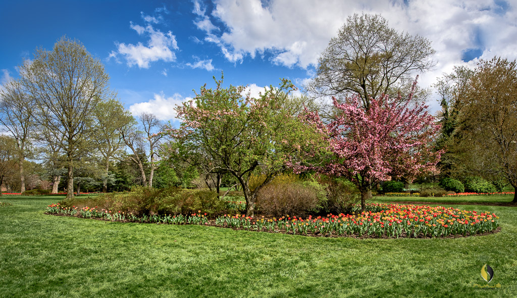 Sherwood Gardens4